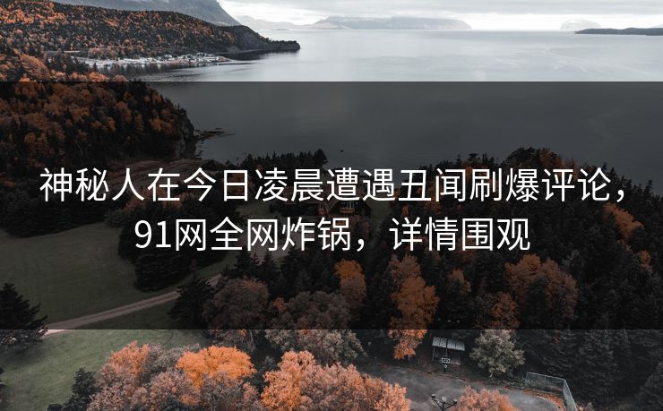 神秘人在今日凌晨遭遇丑闻刷爆评论，91网全网炸锅，详情围观