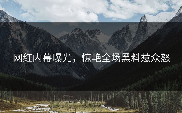 网红内幕曝光，惊艳全场黑料惹众怒