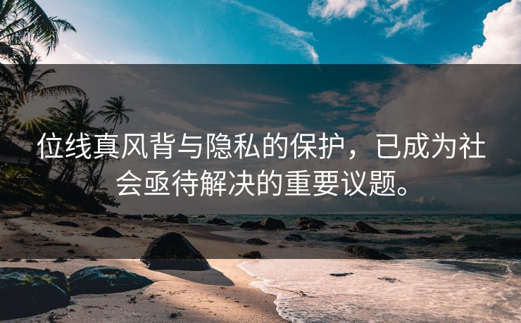 位线真风背与隐私的保护，已成为社会亟待解决的重要议题。