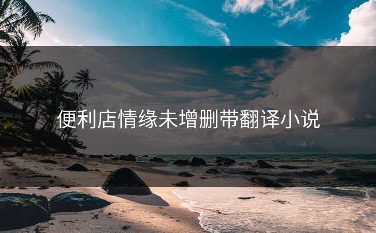 便利店情缘未增删带翻译小说