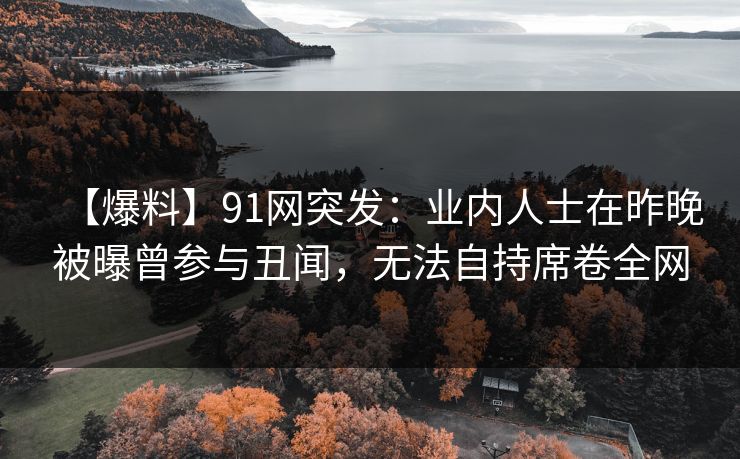 【爆料】91网突发：业内人士在昨晚被曝曾参与丑闻，无法自持席卷全网