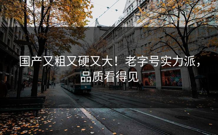 国产又粗又硬又大！老字号实力派，品质看得见