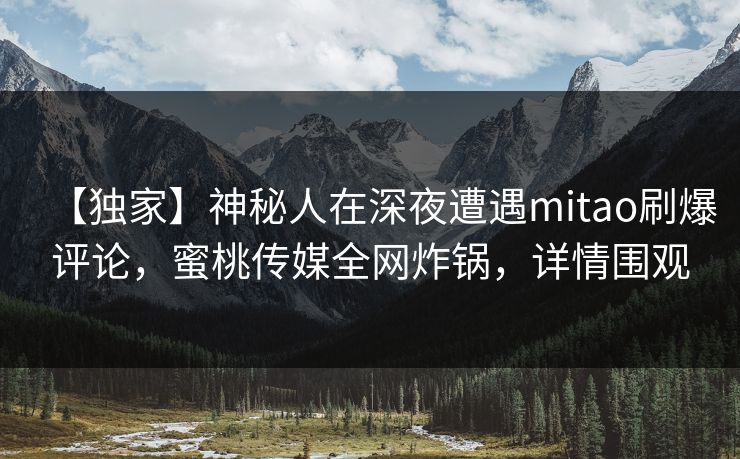 【独家】神秘人在深夜遭遇mitao刷爆评论，蜜桃传媒全网炸锅，详情围观