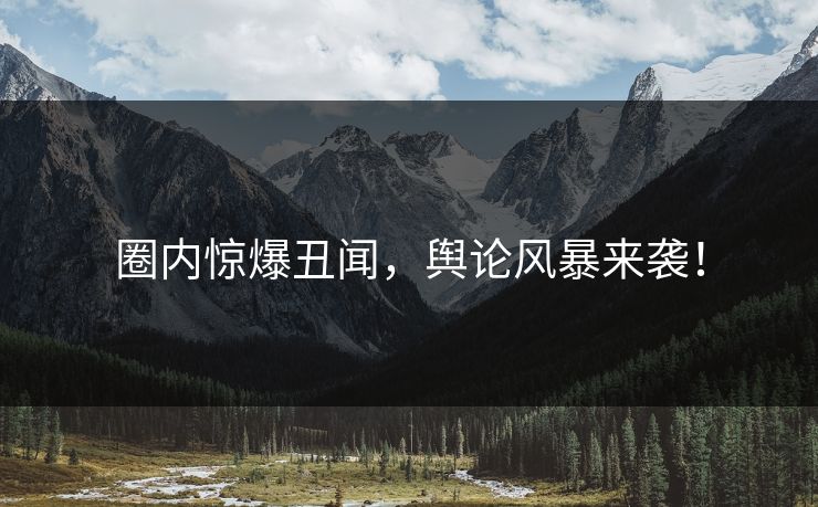 圈内惊爆丑闻，舆论风暴来袭！