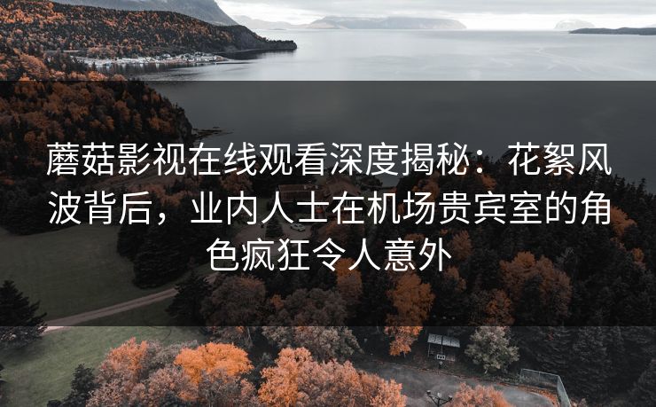 蘑菇影视在线观看深度揭秘:花絮风波背后,业内人士在机场贵宾室的角色疯狂令人意外